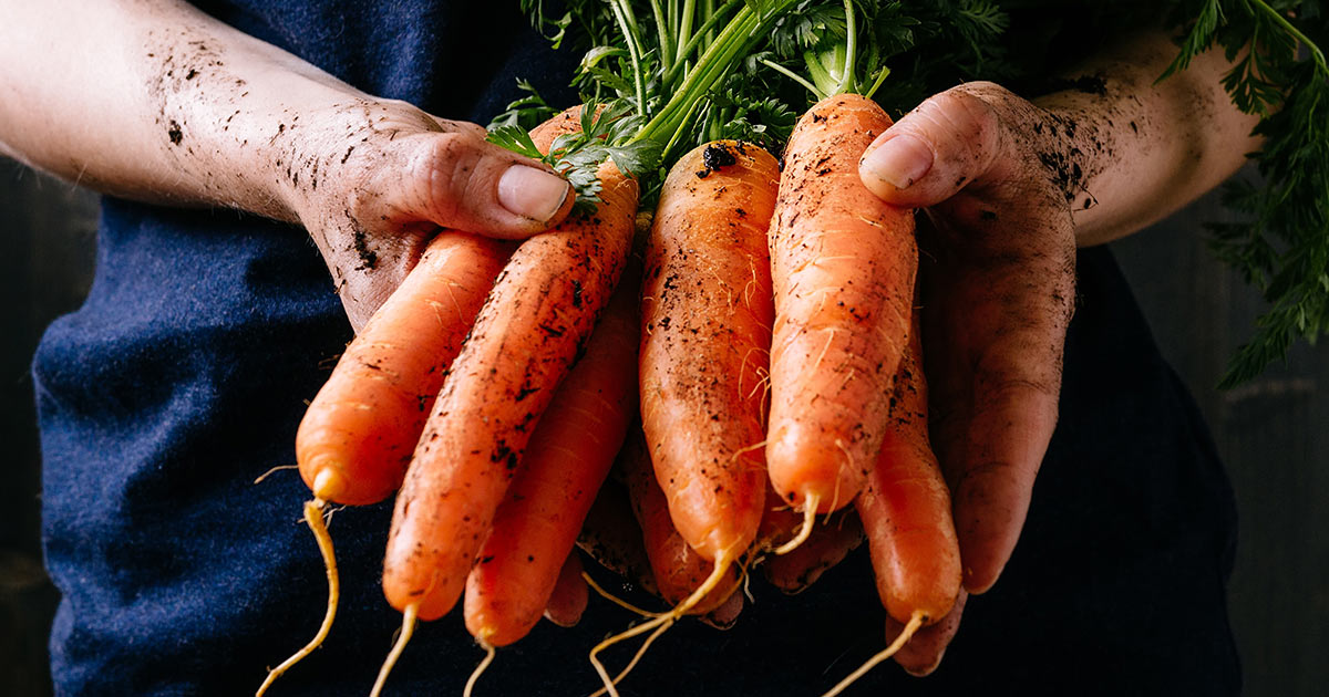 Dangers of Synthetic Beta Carotene